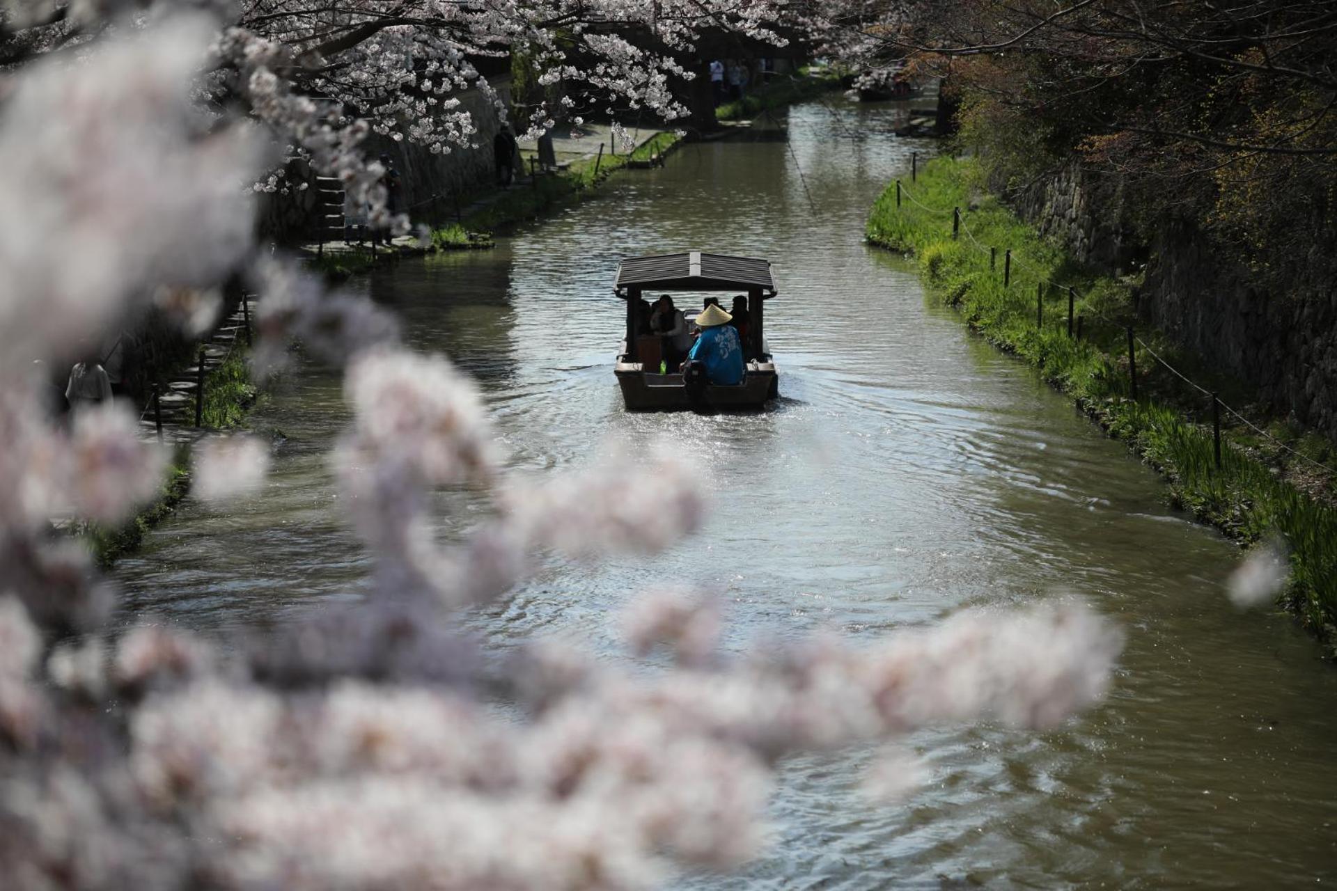 ゲストハウス桜 Guest House Sakura 便利な立地 貸し切り Omihachiman Exterior foto